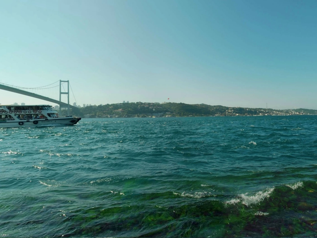 Istanbul Bosphorus Boat Cruise Tour