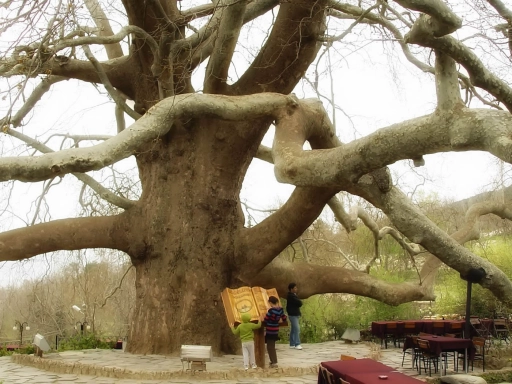 Bursa Tour With Telesiyej Green Heaven